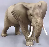 African elephant "MINIATURE PLANET" Animal Infiniti