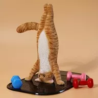 Categoria : Yoga cat C1/6 Produto acabado revestido de resina