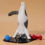 Yoga Cat D1/6 Acabado recubierto de resina