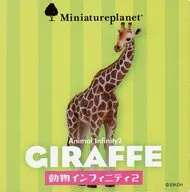 Somali giraffe "MINIATURE PLANET" Animal Infinity 2