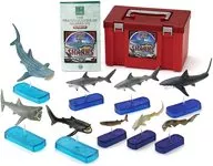 SHARKS DX シャーク デラックスバージョンボックス サメ(9体セット) 「立体図鑑 SHARKS OF THE WORLD」