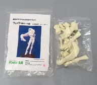 Kit de garaje "Maho Shojo Lyrical Nanoha Strikers" para el traje de gato Fate