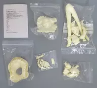 Izayoi Sakiya Glass Clip Coffee Third Party x Neko no Office "East Project" 1/6 Garage kit 6 th Hakurei-jinja festival Reitaisai & Event limited