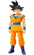 S. H. Figuarts Sun Wukong -DAIMA -' Dragon Ball DAIMA'