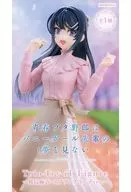 櫻島麻衣Trio-Try-iT Figure-櫻島麻衣・春季搭配ver.-