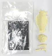 Kit de fundición de resina de anomalocaris