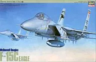 1/48 マクドネル ダグラス F-15C イーグル [P10]