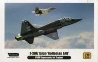 1/48 T-38A Talon U. S. Air Force Practice Pilot Holloman Air Force Base [WP10004]