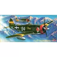 1/72 P-47D サンダーボルト 「AT8」 [02508]