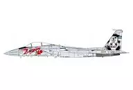 1/48 F-15J ASDF Fighting Competition 2013 [SNG03]