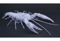 生物篇剋氏原螯蝦(CLEAR)"自由研究系列No.24EX-3"[171005]