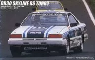 1/24 DR30 Skyline RS Turbo June 16, 1985 Race de Nippon Tsukuba (All Japan Touring Car Championship) "Touring Car Series" [12169]