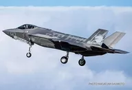 1/72 航空自衛隊F-35A ライトニングII 第301飛行隊 50周年記念特別塗装機 [TPA-51]