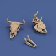 1/35立體模型飾品牛頭骨樹脂鑄造套件[RM1051]