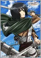 Ataque a los Titanes "Mikasa" de la colección de manga "Mikasa"