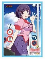 Bussi Load Sleeve Collection High Grade Vol. 1038  Series Second Season "Hagawa Tsubasa"