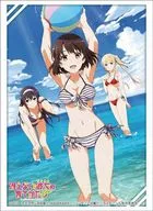 Bussi Load Sleeve Collection High Grade Vol. 1304 『 Saekano: How to Raise a Boring Girlfriend Sad 』 Part 2