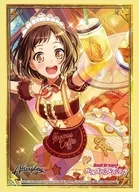BOSCH RoadSleeve Collection高級Vol.1741BanG Dream！少女樂團派對！『羽澤鶇』Part.2