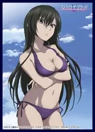 Clock Works Sleeve Collection Vol. 15 Strike the Blood : Higasaki 霧葉