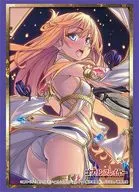 Bushiroad Sleeve Collection High Grade Vol. 1954 Goblin Slayer 『 Megami Kan 』