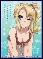 Clockworks Sleeve Collection Vol. 30 Rascal Does Not Dream of Bunny Girl Senpai Toyohama Nodoka