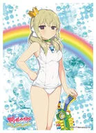 キャラクタースリーブ 閃乱カグラ PEACH BEACH SPLASH 華風流(B) [EN-835]