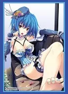 BUSHIROAD Sleeve Collection高级Vol.2153富士见Fantasia文库恶魔高校D×D『ゼノヴィア·クァルタ』
