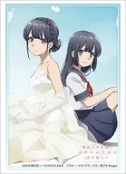 ブシロードスリーブコレクション ハイグレード Vol.2379 青春ブタ野郎はゆめみる少女の夢を見ない『牧之原翔子』