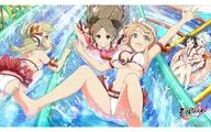シノビマスター 閃乱カグラ NEW LINK ラバーマット(プレイマット) 巫神楽/水着