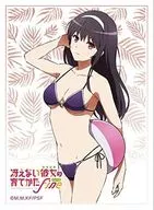 路人女主的养成方法Fine袖诗羽/泳装