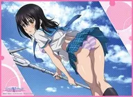 TCG All-Purpose Playmat Strike the Blood FINAL "Hime Hiiragi verdura yukina"
