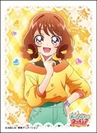 Character Chief Sleeve Delicious Party Precure Hanamaran [EN-1128]