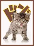 Broccoli Character Cfersleeve "Kitten" revival