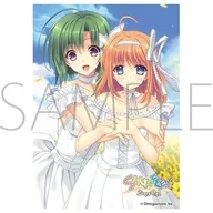 Kyara Sleeve Collection Matt Series Navel SHUFFLE! Fuyo Maple & Shigure Aisa [MT2121]