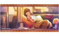 BUSIE ROAD橡胶垫收集V2 Vol.1752『偶像大师』系列20周年765 PRO ALLSTARS