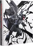 ポケモンカードゲーム コレクションファイルプレミアム ゼクロム・レシラム ポケモンセンター限定