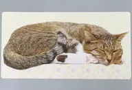 キジトラ ラバープレイマットスリム 「ブロッコリートレカアイテムくじEX『猫これくしょん』」 C賞