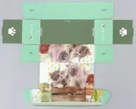 ドンマイ! カードボックス 「ブロッコリートレカアイテムくじEX『猫これくしょん』」 D-2賞