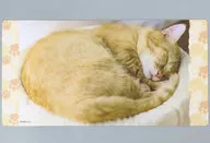 茶トラのお昼寝 ラバープレイマットスリム 「ブロッコリートレカアイテムくじEX『猫これくしょん』」 ファイナルドロー賞