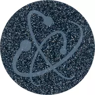 [単品] エクシーズ召喚 特製デュエリストコイン 「遊戯王OCG デュエルモンスターズ DUELIST BOX -PRISMATIC SUMMON-」 同梱品