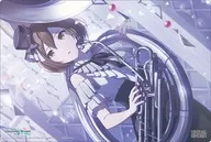ブシロード ラバーマットコレクション V2 Vol.2005 プロジェクトセカイ カラフルステージ! feat. 初音ミク『MEIKO』