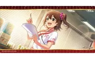 ブシロード ラバーマットコレクション V2 Vol.2014 『アイドルマスター』シリーズ20周年 ミリオンライブ!