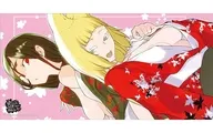 ブシロード ラバーマットコレクション V2 Vol.2046 GA文庫『ダンジョンに出会いを求めるのは間違っているだろうか』ヤマト＆春姫