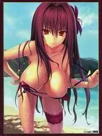 【Fate】スリーブ スカサハ(KWKM) C91/クラスター