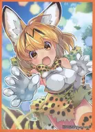 【けものフレンズ】スリーブ サーバル(Nokko) サンシャインクリエイション2017 Summer/麗図製薬