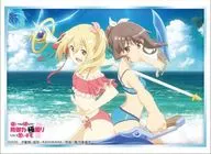 Bussi Load Sleeve Collection High Grade Vol. 2701 Não gosto de sentir dor, por isso vou concentrar-me na minha defesa. "Frederica & Sally" Swimwear ver.