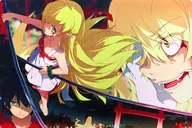 【物語シリーズ】プレイマット 暦物語(萩pote) C95/タートルマウント