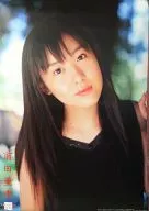 Aki Maeda Fiscal 2003 wall calendar