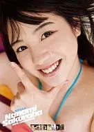 Nanami Sakuraba fiscal 2011 calendar