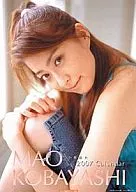 小林麻央 2007年 壁掛けカレンダー